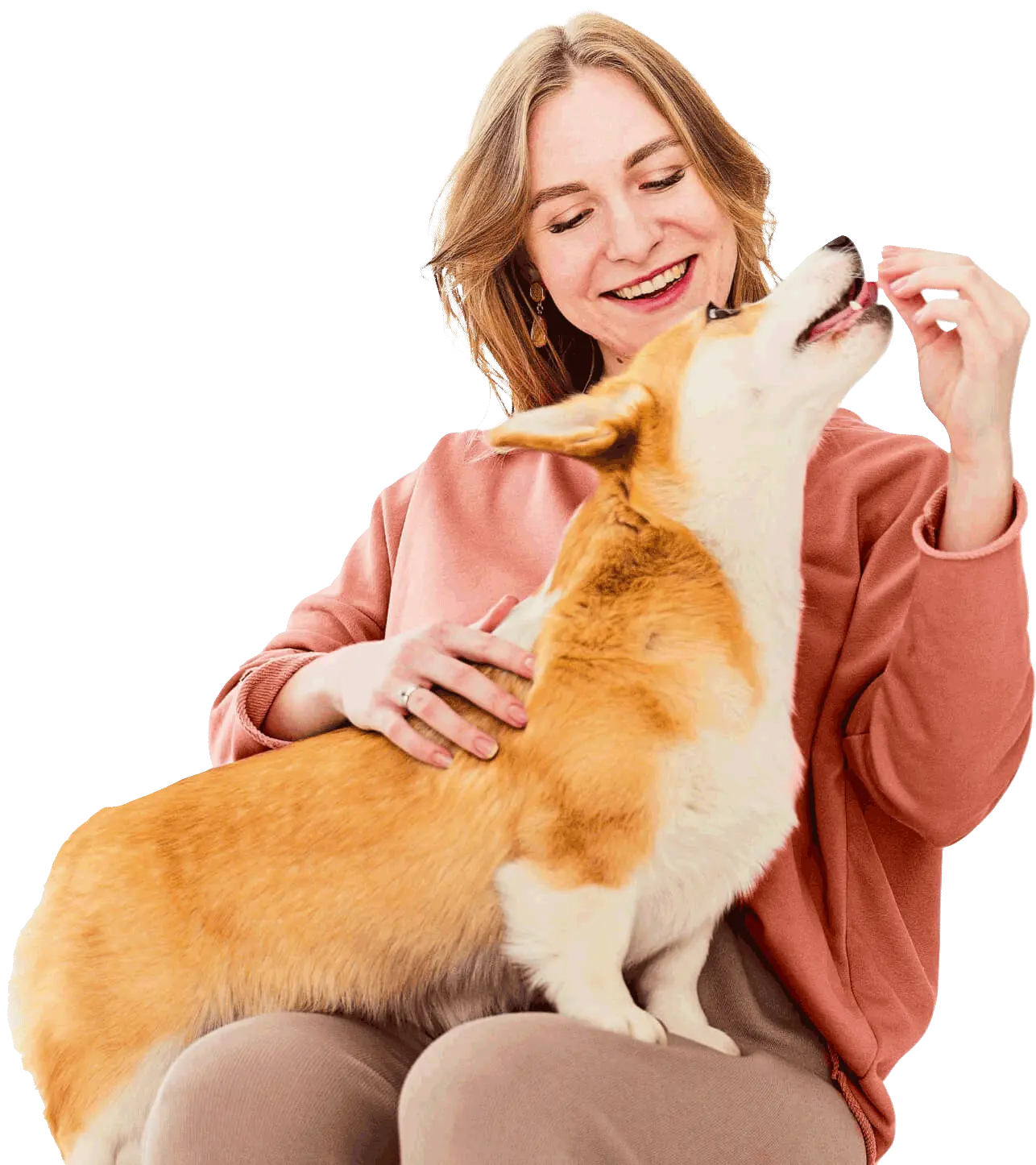 Saúde Animal Clínica Veterinária - Marilia